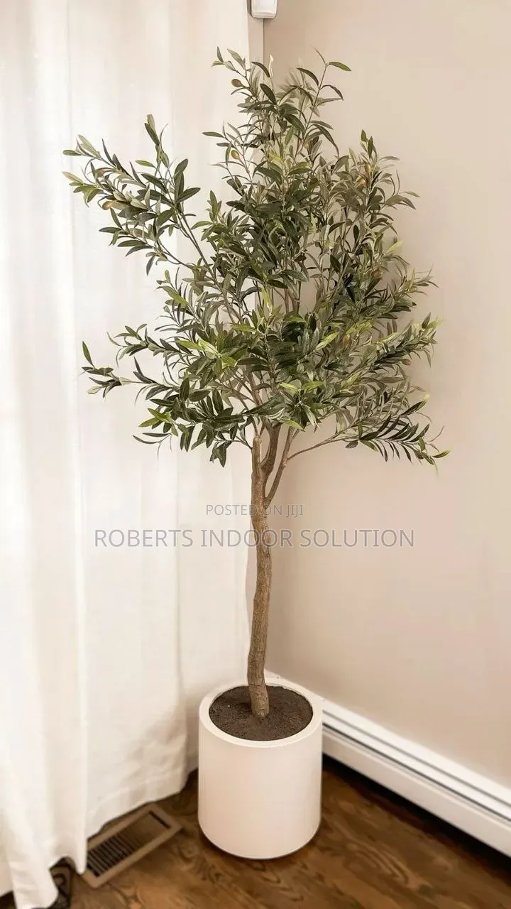 Detachable Tree Potted In A White Planter