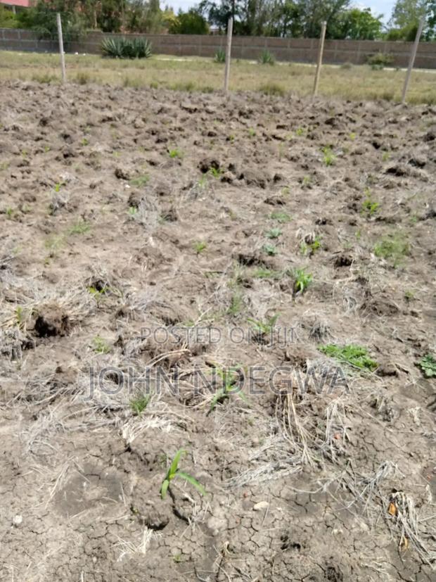 Joska Prime Plot