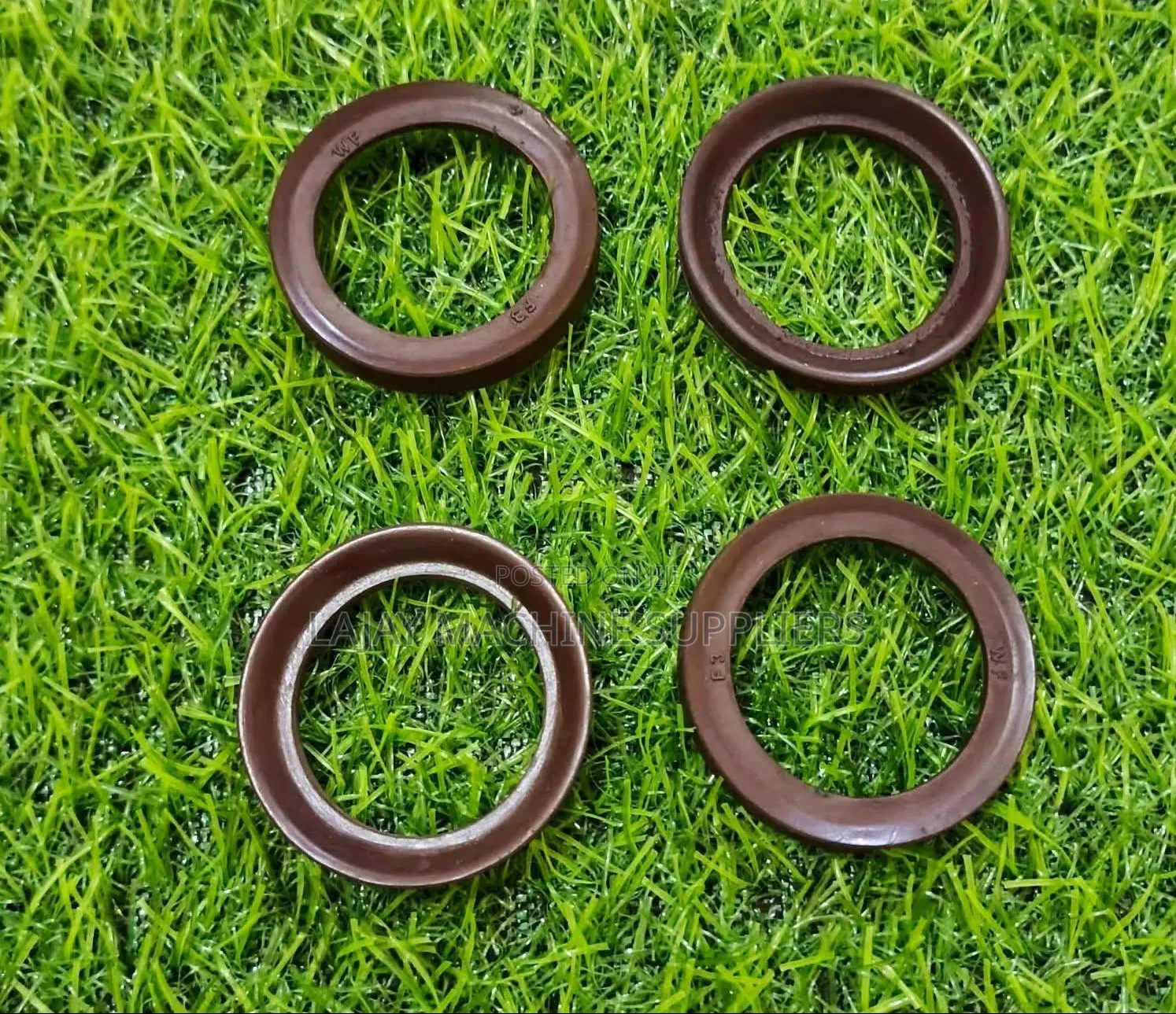 Demolisher Seals