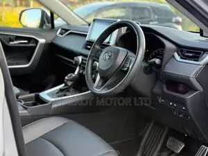Toyota RAV4 LE AWD 2019 Silver
