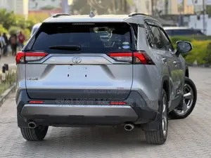 Toyota RAV4 LE AWD 2019 Silver