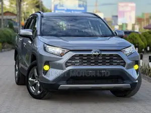 Toyota RAV4 LE AWD 2019 Silver