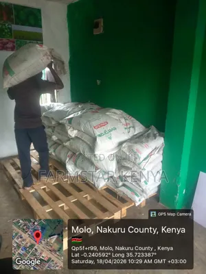 Premium Evergrow Organic Korn Kali Fertilizer - 50kg, Nakuru