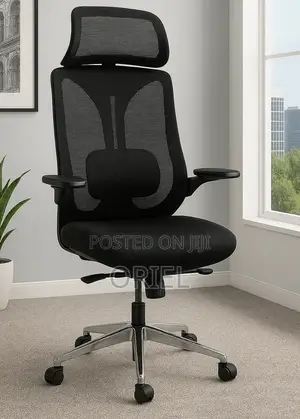 Office Chair : Lumbar Support Ergonomic High-Back Mesh Office Chair