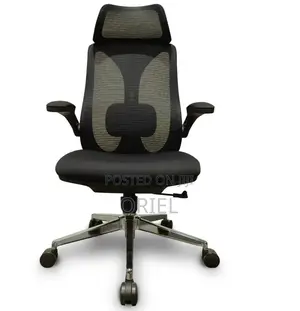Office Chair : Lumbar Support Ergonomic High-Back Mesh Office Chair