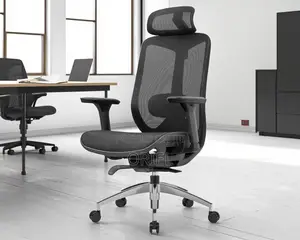 Office Chair : Lumbar Support Ergonomic High-Back Mesh Office Chair