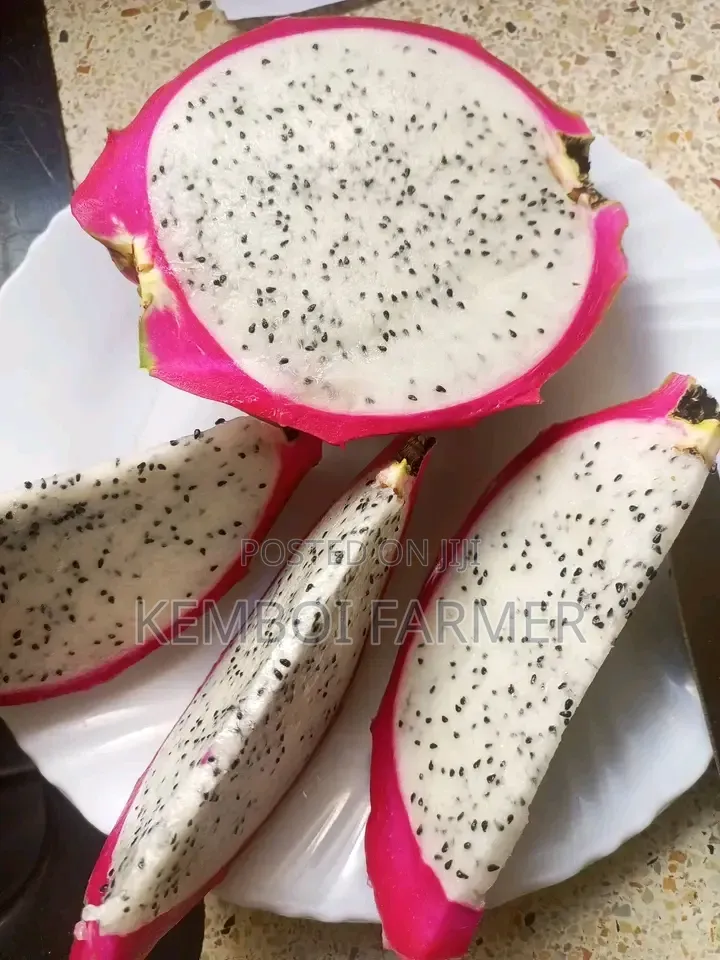 Dragon Fruits