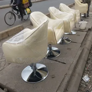 Salon Styling Seats With Hydraulic Pump