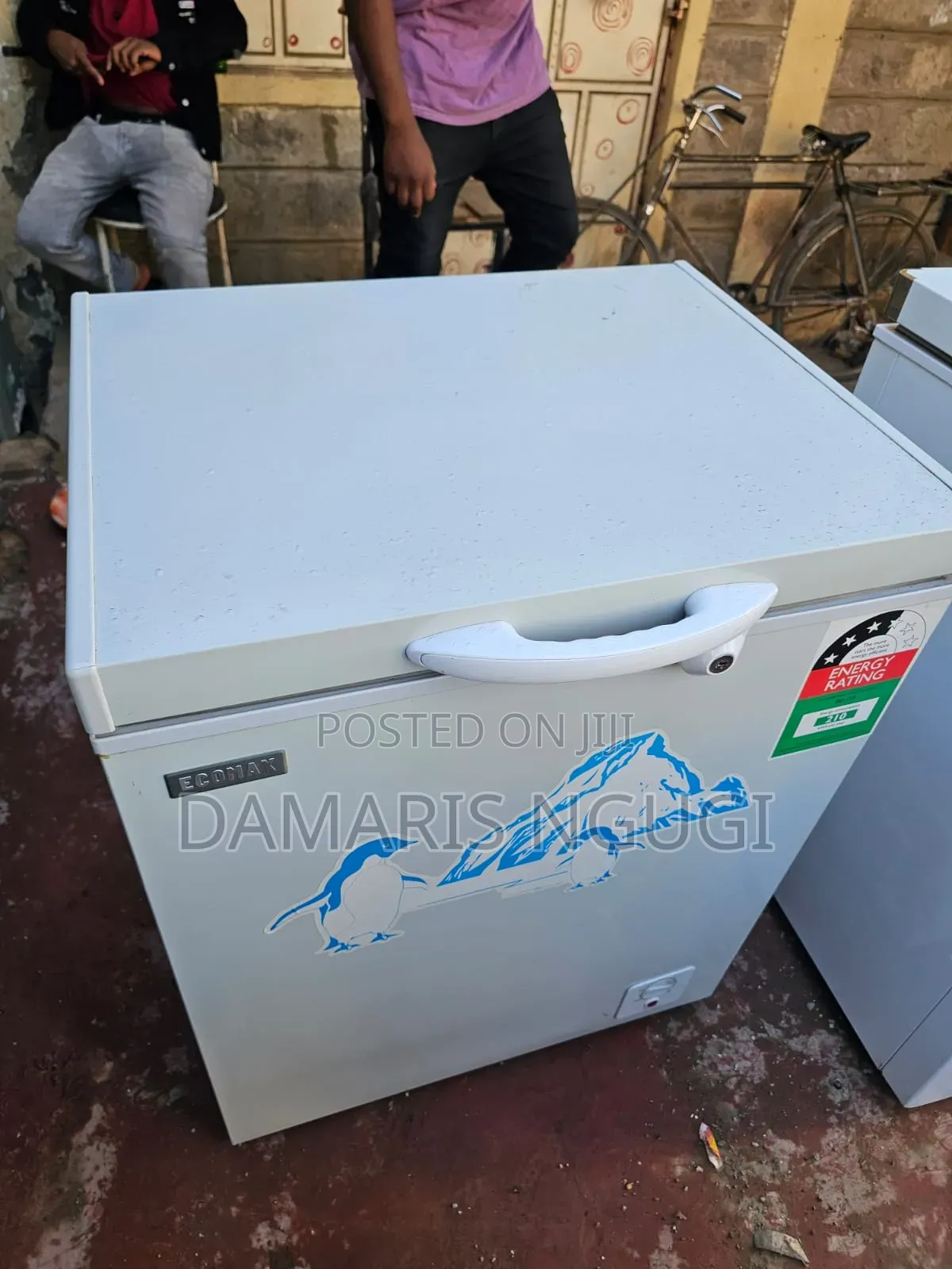 Ecomax Deep Freezer