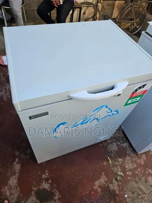 Ecomax Deep Freezer