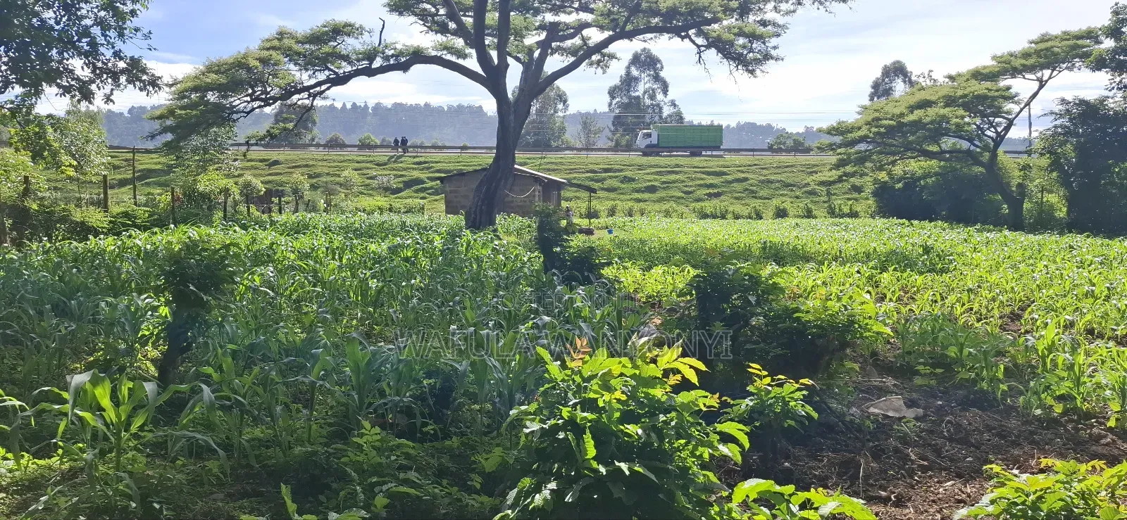 1/2 an Acre Webuye