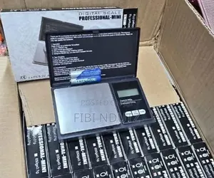 Professional Digital Mini Scale/Professional Scale
