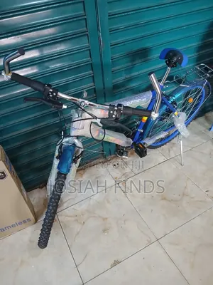 Bicycle Size 24