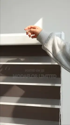 Zebra Blinds for Day and Night Light Control Window Covering Use