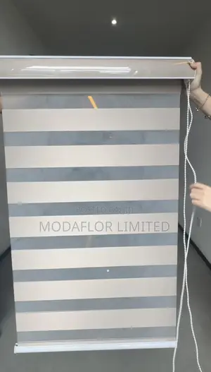 Zebra Blinds for Stylish Window Covering and Privacy Control Use