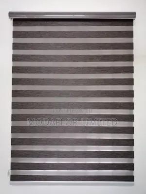 Zebra Blinds for Bedroom, Living Room and Office Window Use