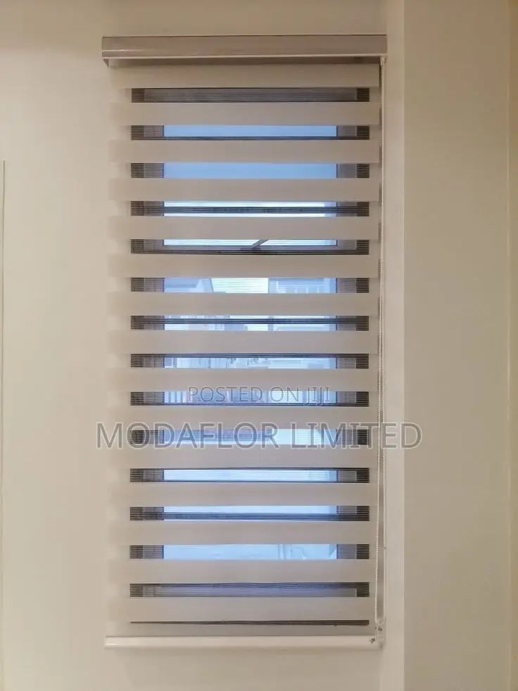 Zebra Blinds for Day Night Privacy and Light Control Use Areas