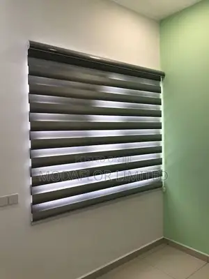 Zebra Blinds for Clean, Modern and Elegant Window Covering Use