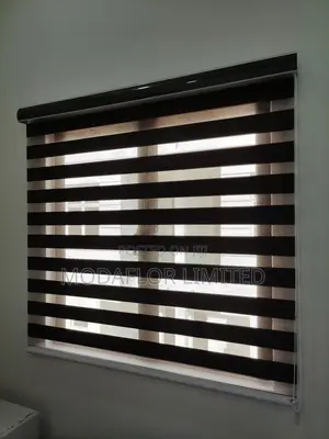 Zebra Blinds for Office, Home and Decorative Window Use Areas