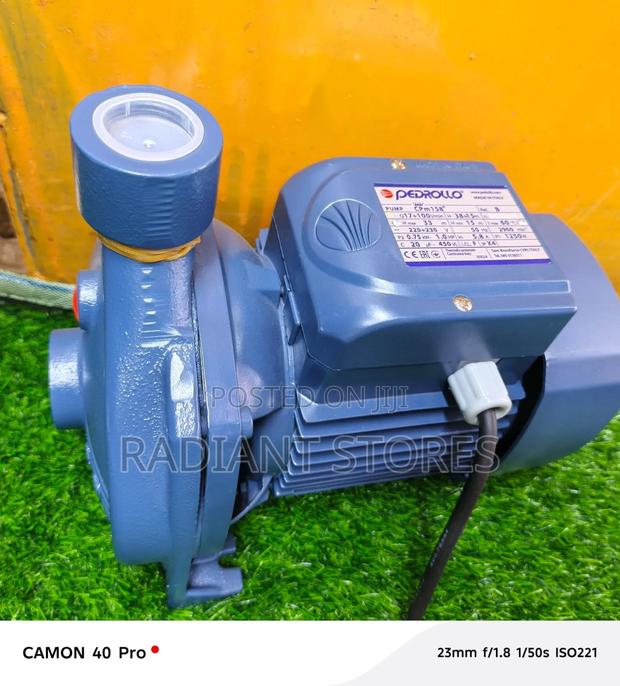 Pedrollo Water Pump 1hp
