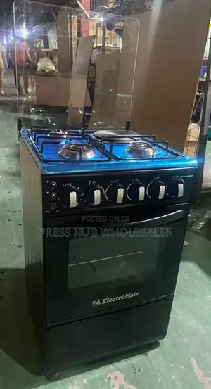 Electromate 3+1 Standing Cooker