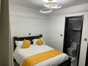 Fully Furnished 1 2 Bedroom Air B B Lavington
