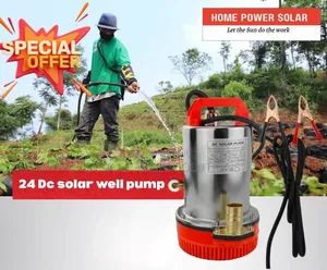 20 Meters Head 24v (200w) Submersible Solar Dc Domestic Water Pump