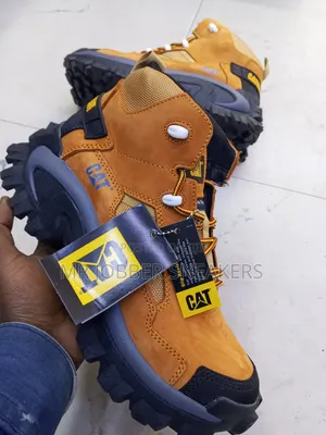 Caterpillar Invader