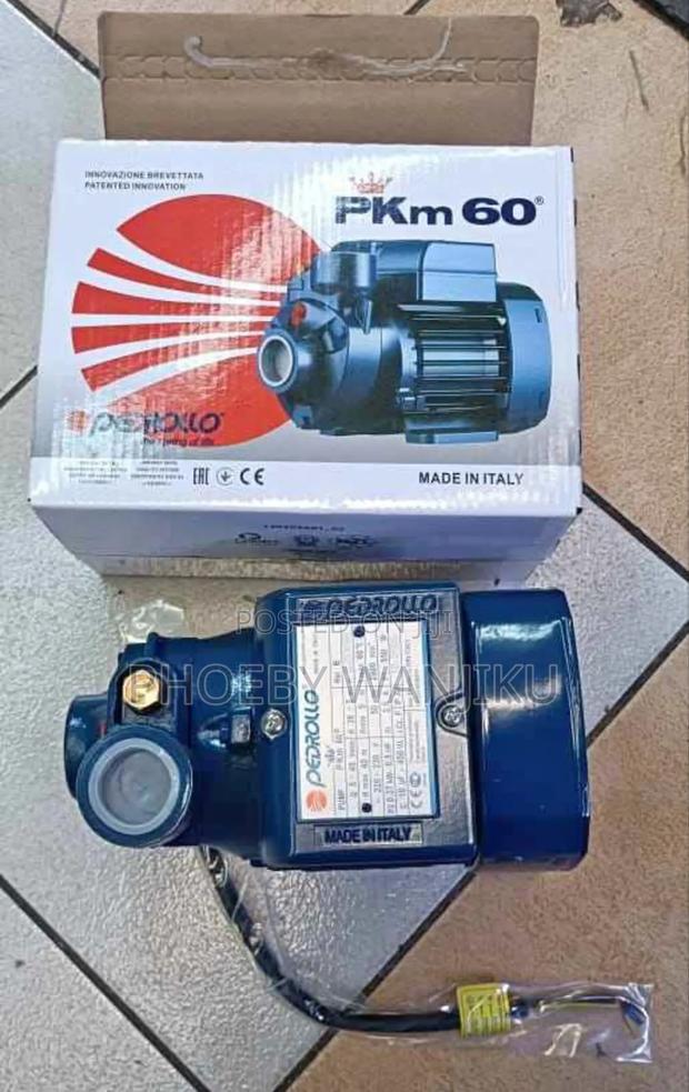 Pedrollo Water Pump Pkm60/Pedrollo Water Pump Machine 40m Head 0.5hp
