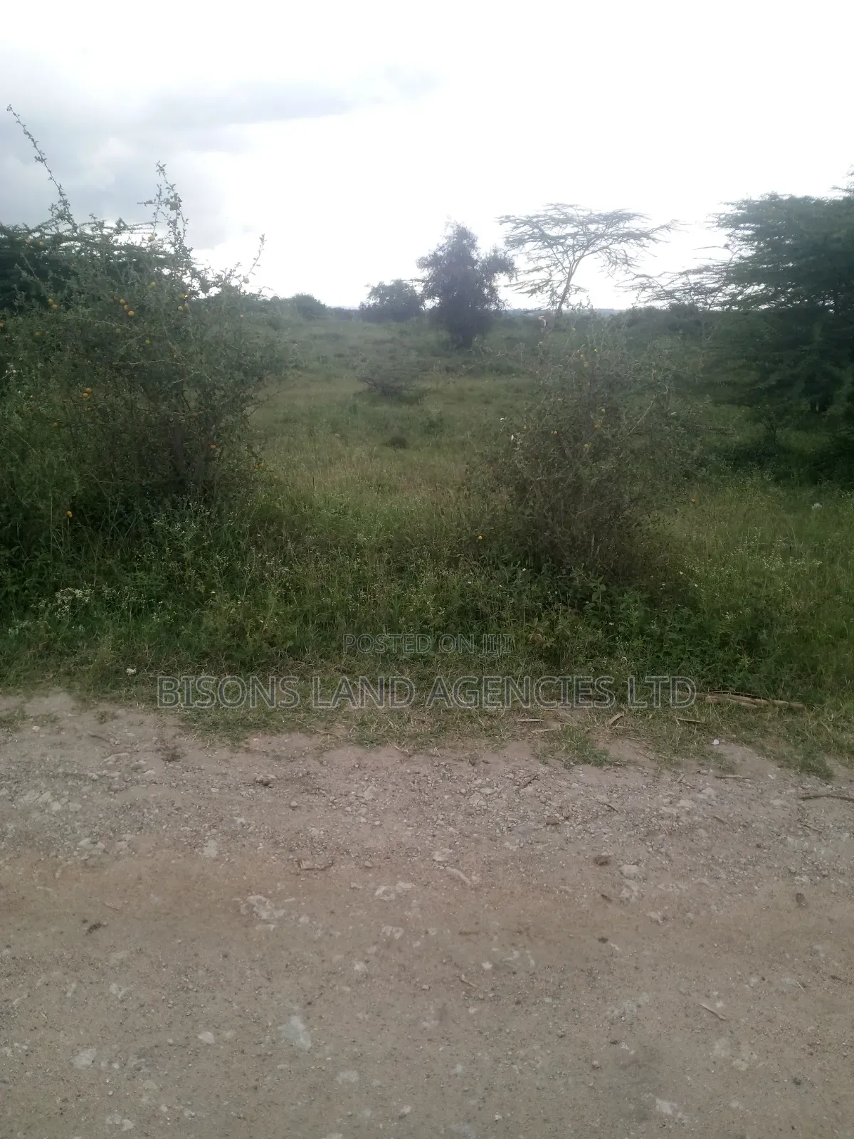 Available 3 Àcre Land for Sale