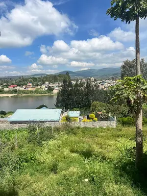 Affordable 50x100 Plot For Sale In Kiserian