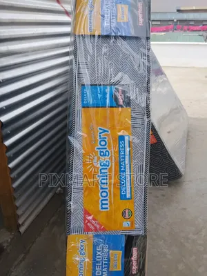 Plain Foam 8 Inches, 3×6 From Morning Glory Mattresses