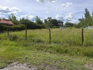 Isinya Prime1/4 Plot