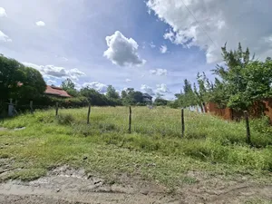 Isinya Prime1/4 Plot