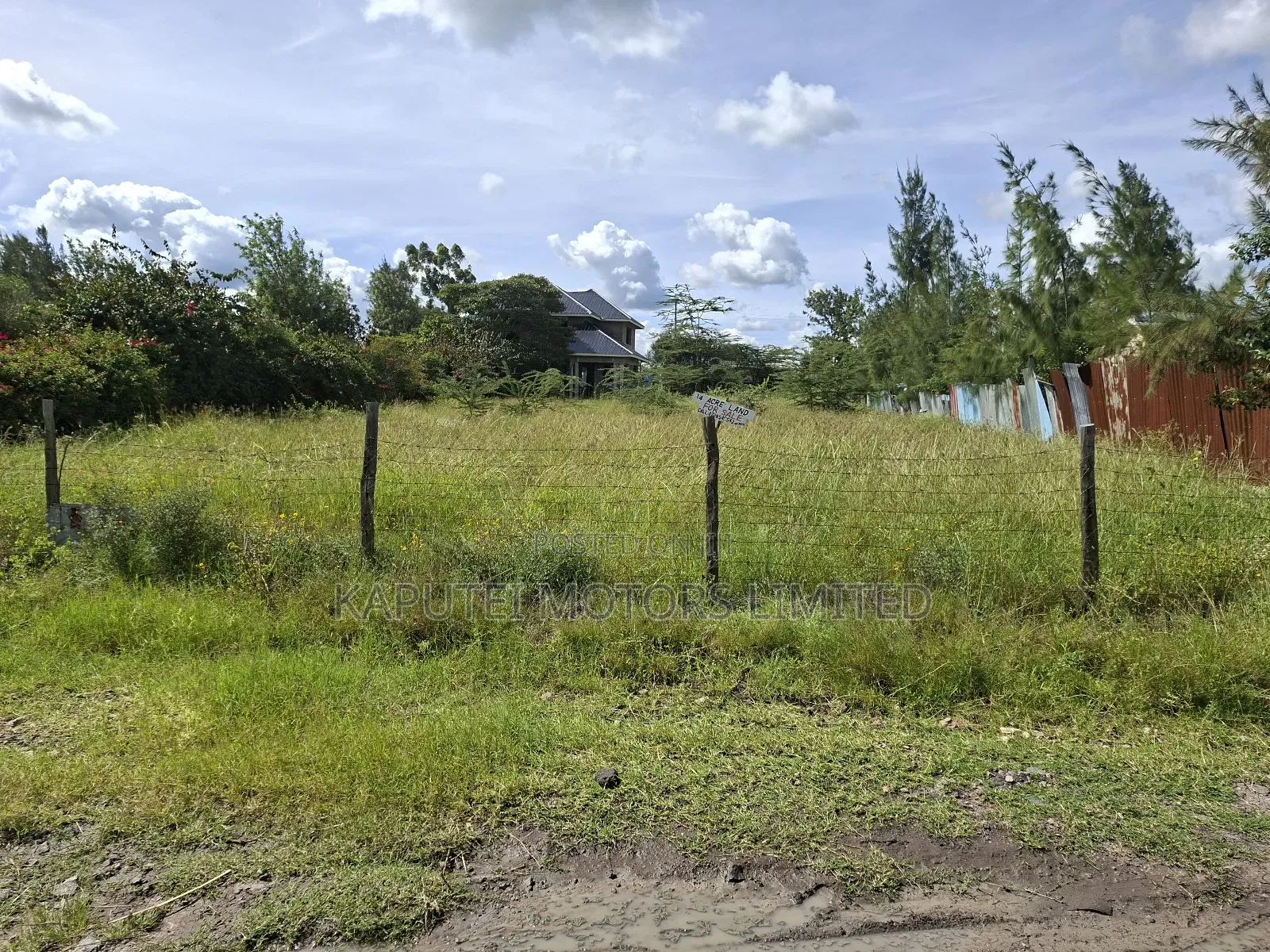 Isinya Prime1/4 Plot