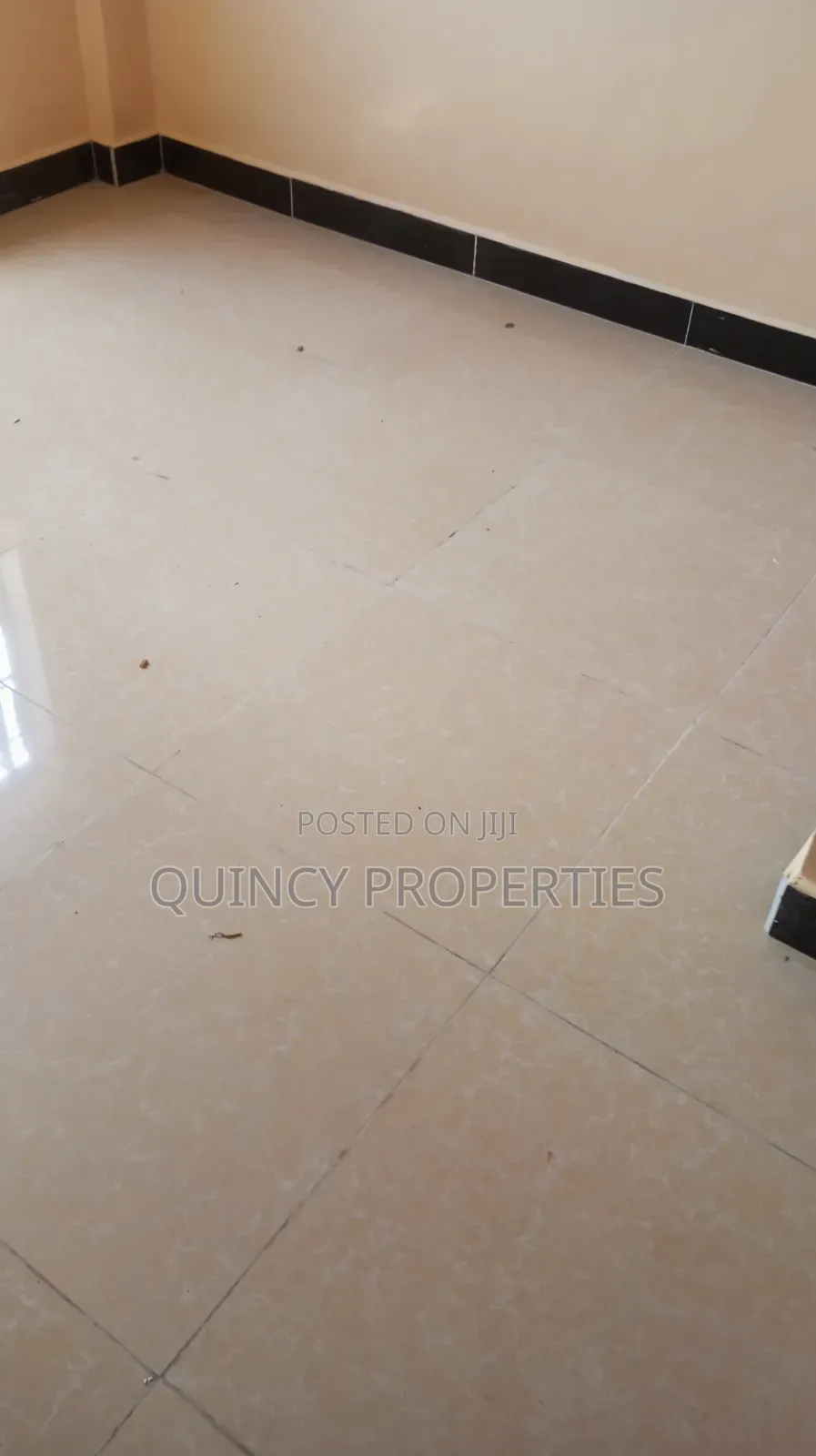 2bdrm Apartment in Ruaka for rent
