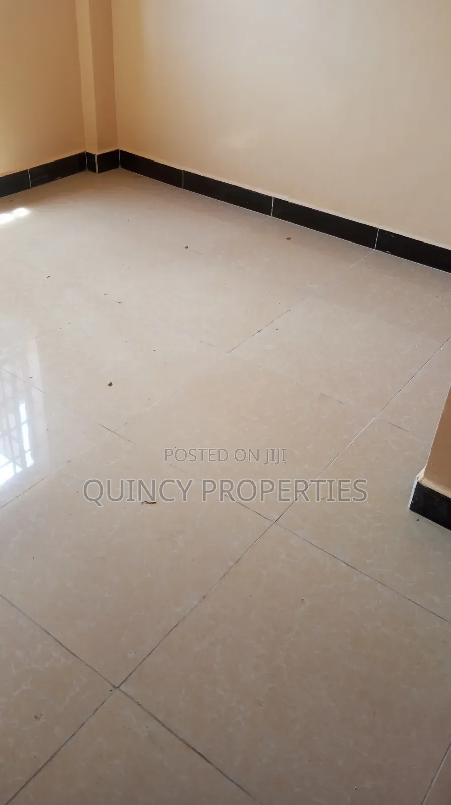 2bdrm Apartment in Ruaka for rent