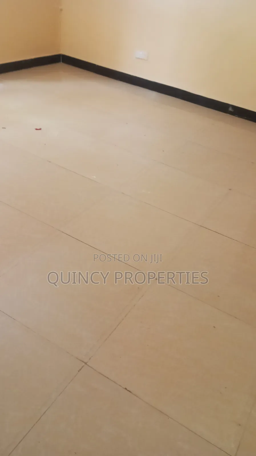 2bdrm Apartment in Ruaka for rent