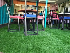 Artificial Grass Carpet