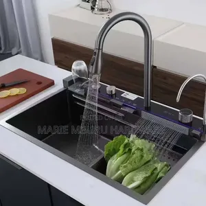 Automatic Kitchen Sink
