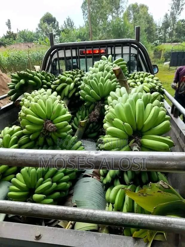 Green Banana