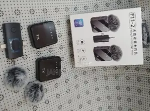 F11_2 Wireless Microphone