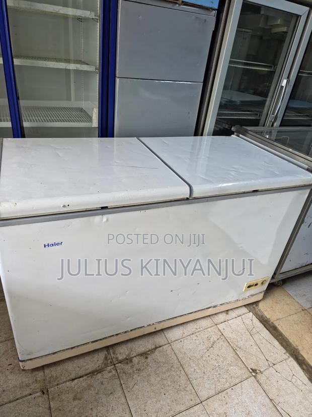 2 Doors Horizontal Freezer - thumbnail 2