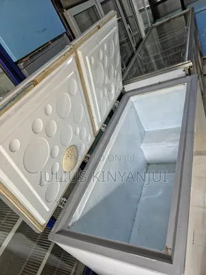 2 Doors Horizontal Freezer