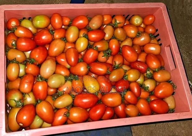 Ffesh Tomatoes