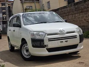 Toyota Probox 1.5 DX 2WD 2019 Pearl