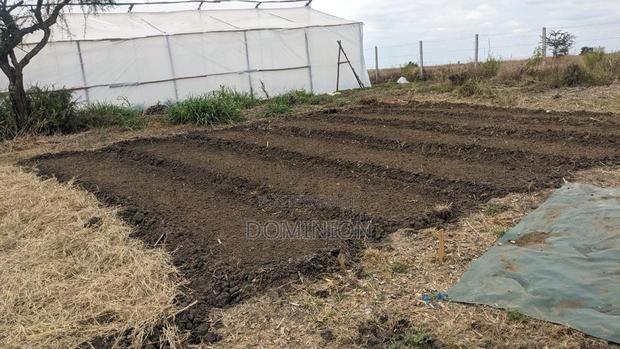 Greenhouse Tarp and Tent