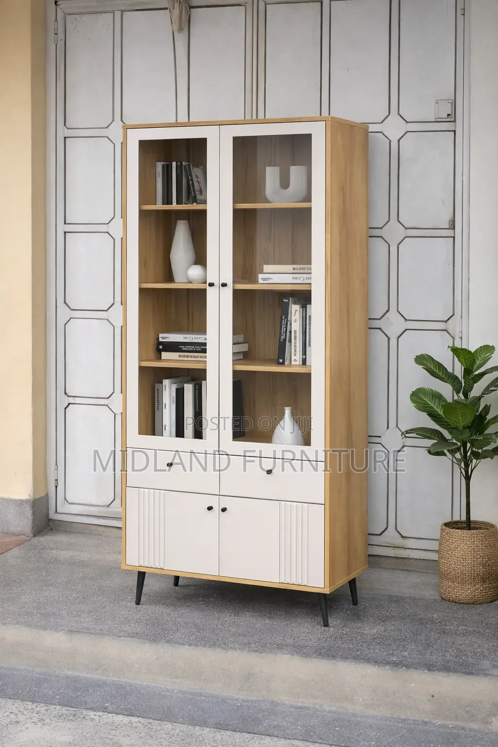 Modern Display Shelf Cabinet