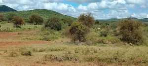 50 Acres Farm Land Emali-Loitotok Road