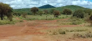 50 Acres Farm Land Emali-Loitotok Road